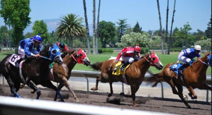 Chris Dixon’s top tips for Monday: Udontdodou can deliver at 5-1