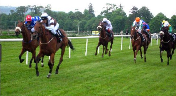 Fewer fixtures for 2020 and raft of measures introduced to help sport’s members