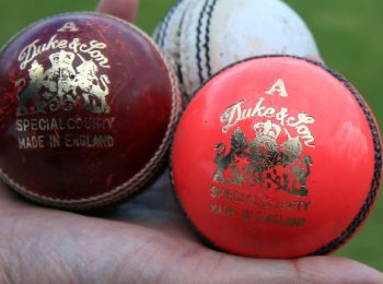 cricket ball thumbnail